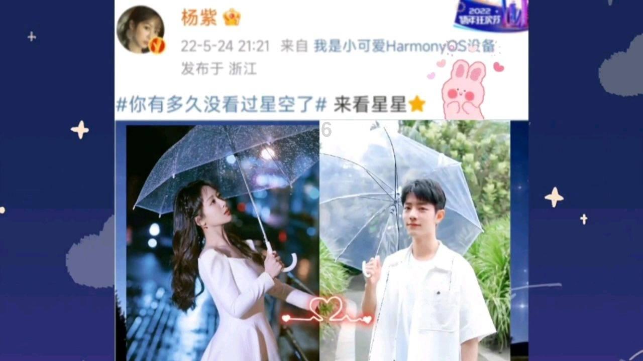 营救小乌龟