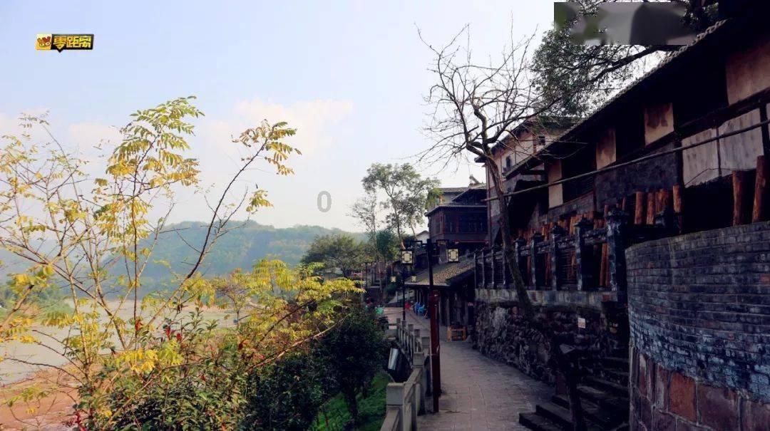 救援受困的长颈鹿