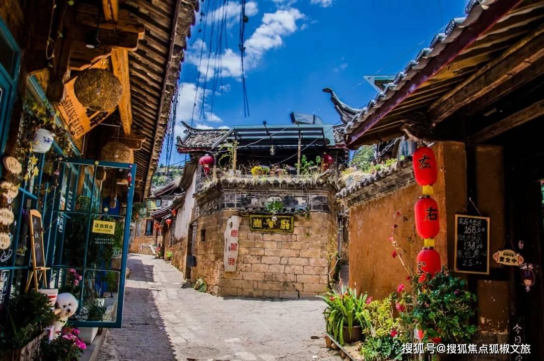 动物帮帮忙保卫家园